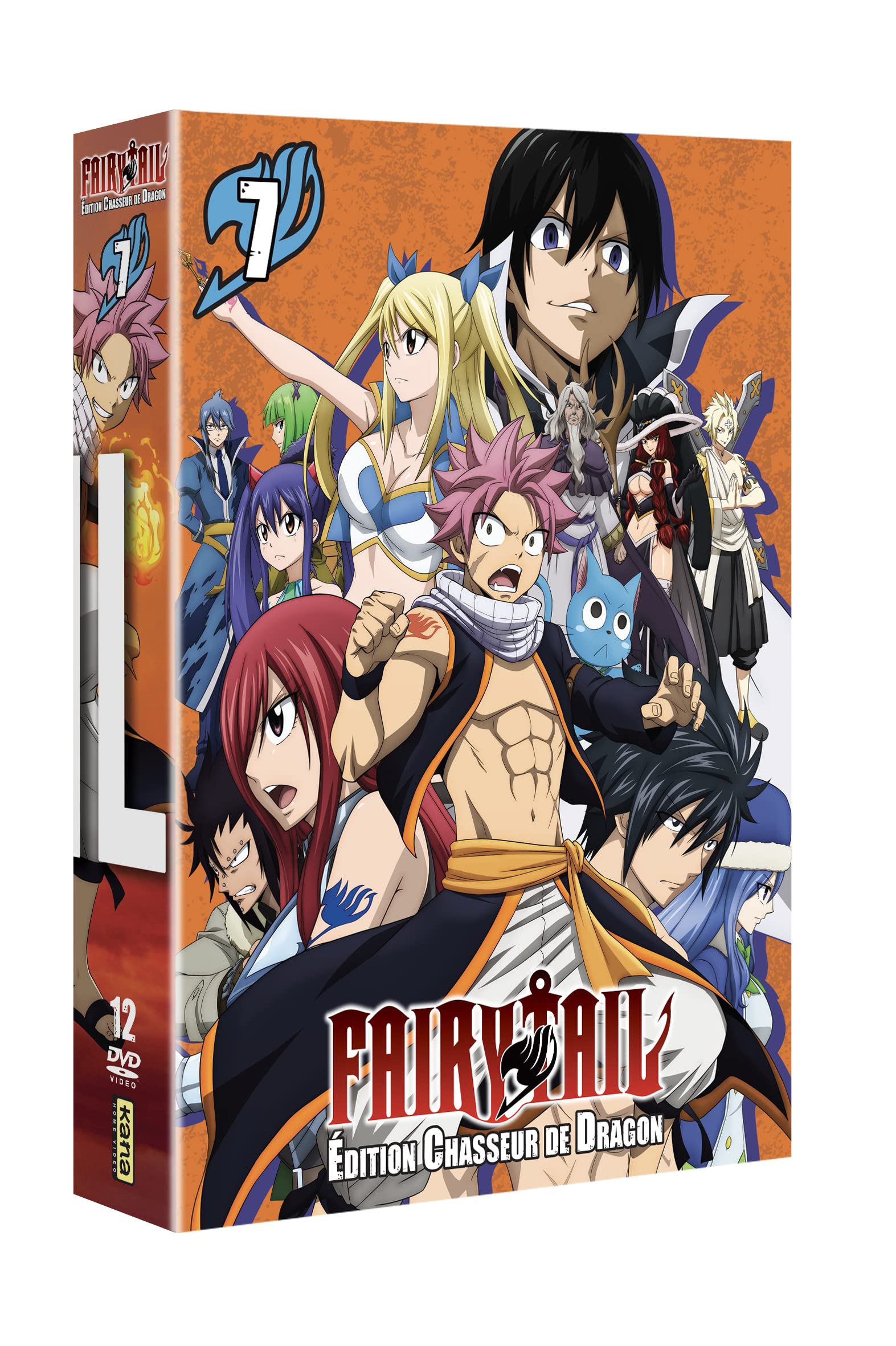 Fairy tail - édition chasseur de dragon - volume 7