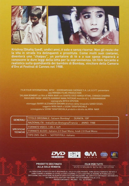 Bollywood Collection