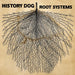 Root Systems