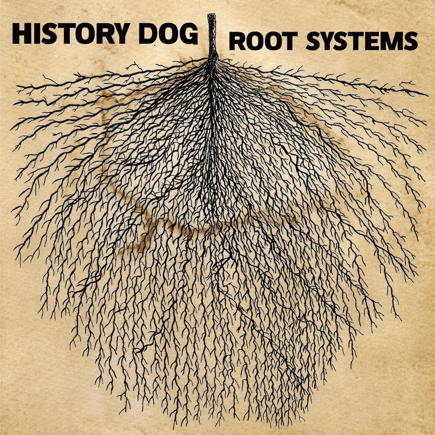 Root Systems