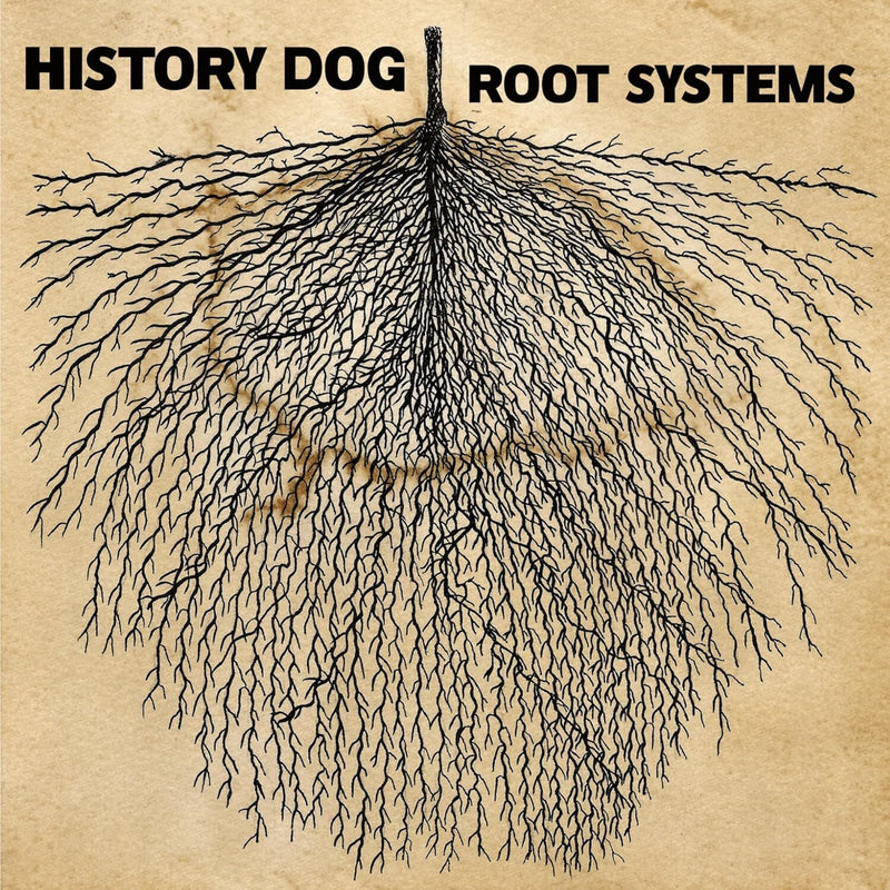 Root Systems