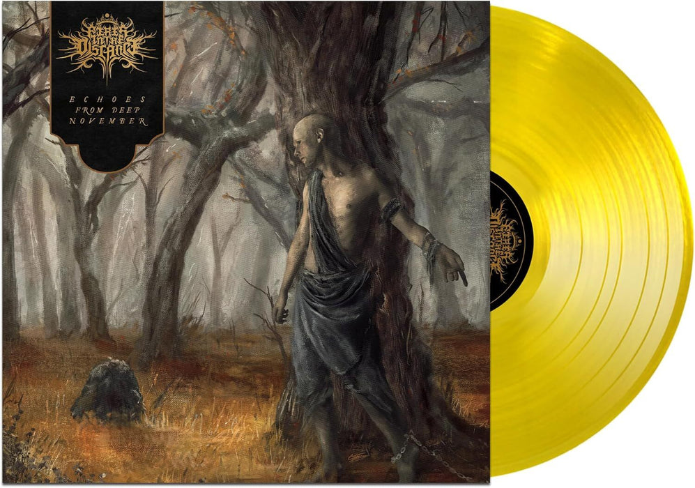 Echoes from Deep November