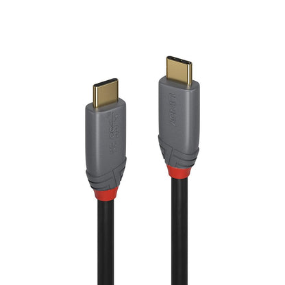 LINDY 36903 USB 3.2 Type C to C Cable 2 Meters 20Gbps 5A PD