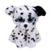 TY Catcher DALMATION - Beanie Babies, T42303 Cather Spotted Dalmatian