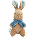 Rainbow Designs Peter Rabbit Cuddly Toy Teddy - Peter Rabbit Super Soft Plush Toy - Beatrix Potter Soft Toy for Boys and Girls - Toddler and Baby Gift (Peter Rabbit