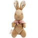 Rainbow Designs Flopsy Bunny Cuddly Toy Teddy - Peter Rabbit Super Soft Plush Toy - Beatrix Potter Soft Toy for Boys and Girls - Toddler and Baby Gift (Flopsy Bunny