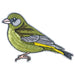 Pawprint Family | Greenfinch Bird Sew on Patch | Official Merchandise Supporting The RSPB