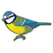 Pawprint Family | Blue Tit Bird Sew on Patch | Official Merchandise Supporting The RSPB