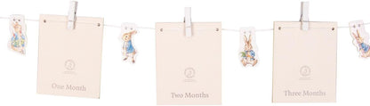 Peter Rabbit Photo Banner. Includes 12 Picture Cards, Peter Rabbit Character Hooks & 1 card for each of first 12 months. Officially Licensed Peter Rabbit Merchandise.