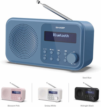 Sharp - Tokyo Portable Digital And Fm Radio