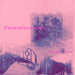 Convalesence