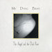 The Angel & the Dark River