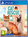 Cat Rescue Story