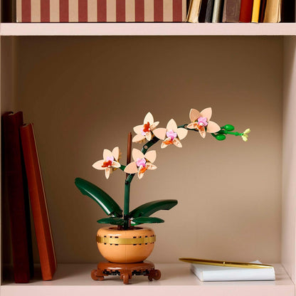 LEGO Botanicals Mini Orchid - Artificial Flowers Set for Adults - Indoor Plant with Terracotta Style Flowerpot - Home Decor Gift for Women and Men 10343