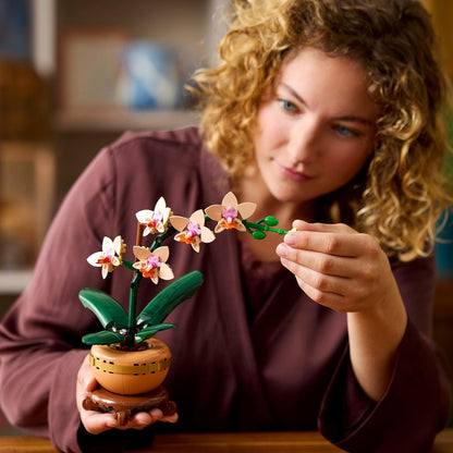 LEGO Botanicals Mini Orchid - Artificial Flowers Set for Adults - Indoor Plant with Terracotta Style Flowerpot - Home Decor Gift for Women and Men 10343