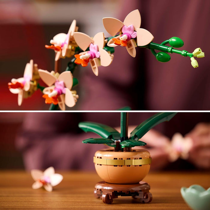 LEGO Botanicals Mini Orchid - Artificial Flowers Set for Adults - Indoor Plant with Terracotta Style Flowerpot - Home Decor Gift for Women and Men 10343