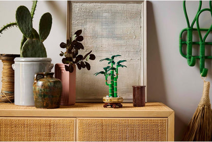 LEGO Botanicals Lucky Bamboo Artificial Plant for Indoor Display - Set for Adults includes a Buildable Pot with a Wood-Effect Plinth for Home Decor - Gift for Her or Him 10344