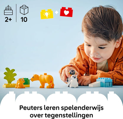 LEGO DUPLO Famiglie di Animali: Pinguini e Leoni, Giochi di Fantasia Educativi per Bambini e Bambine da 2 Anni in su, Giocattolo Creativo per la Cura dei Cuccioli, Idea Regalo d'Avventura 10442