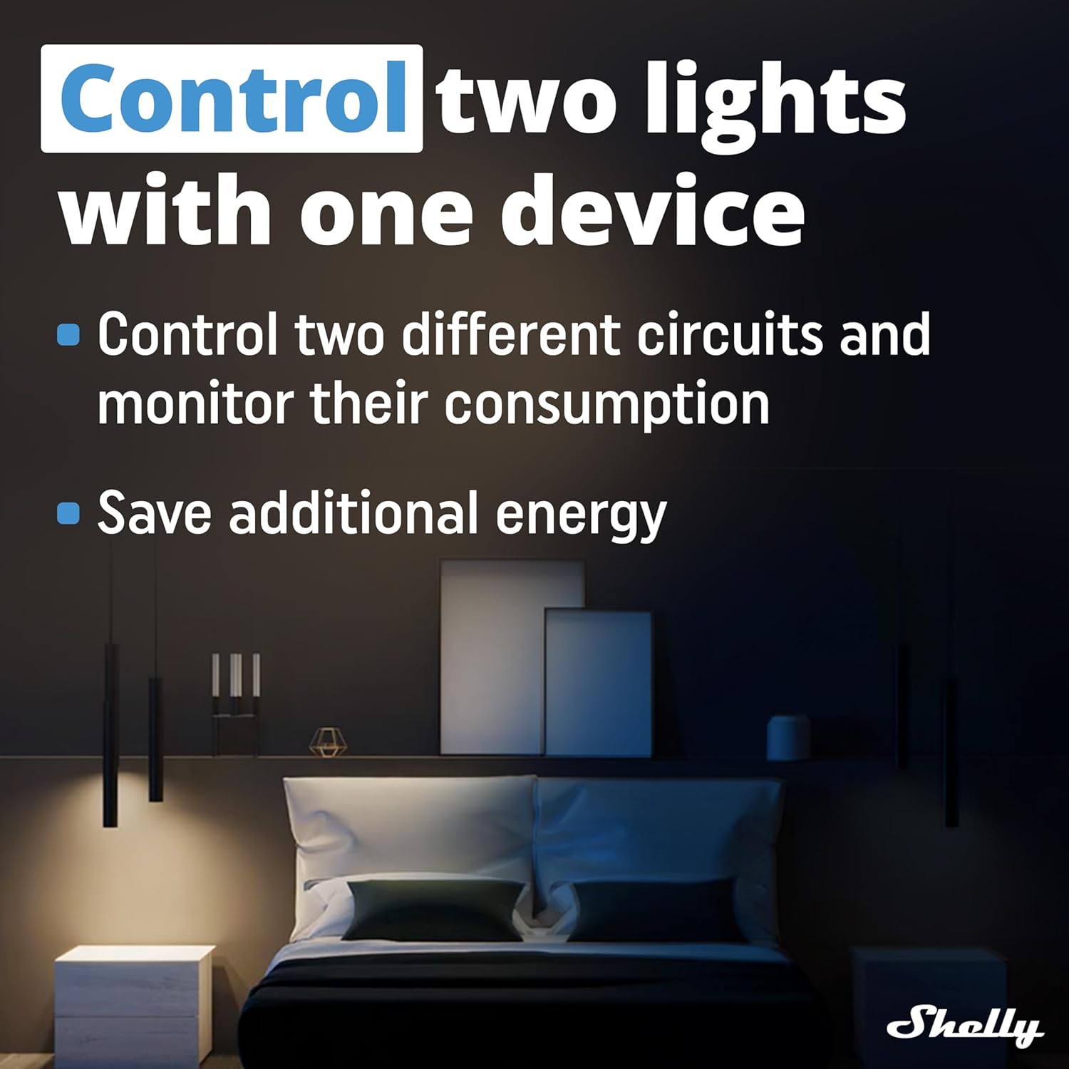Shelly - Plus 2Pm (Dual Pack) - Elevate Your Smart Home Experience