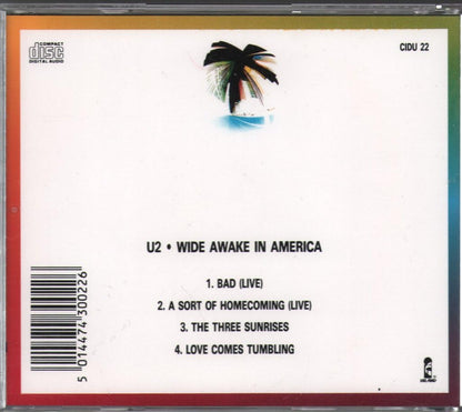 Wide awake in America