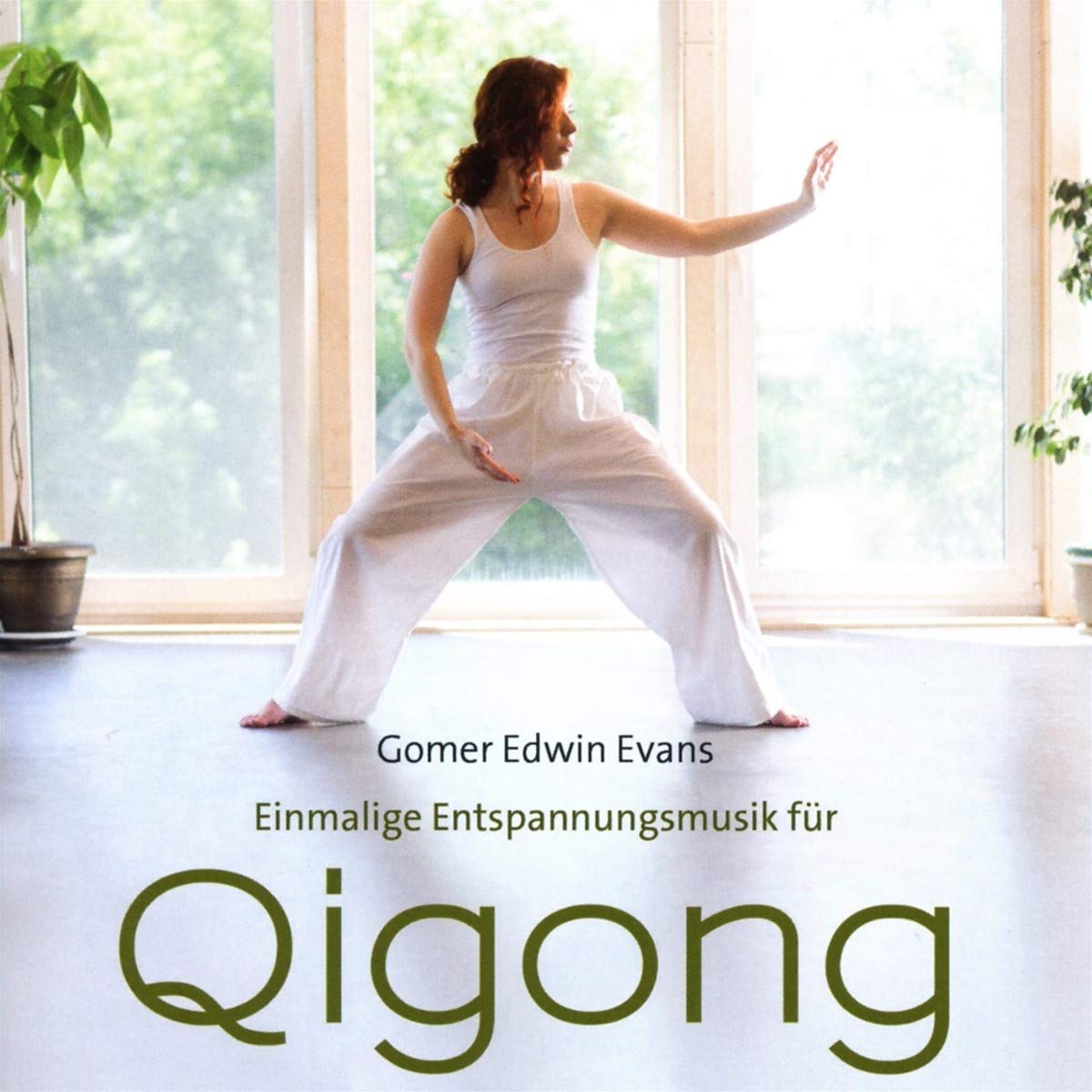 QI GONG