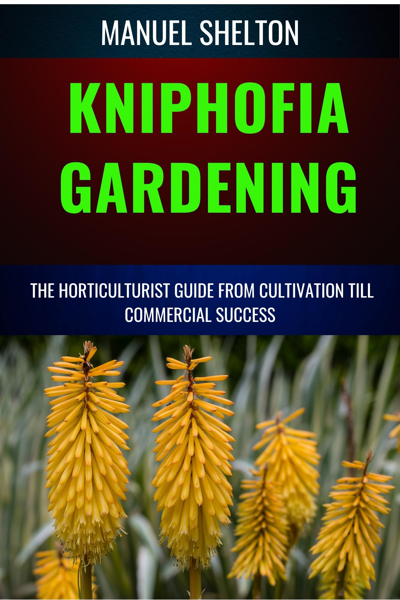 Kniphofia Gardening Horticulturists Guide from Cultivation Till Commmercial Success