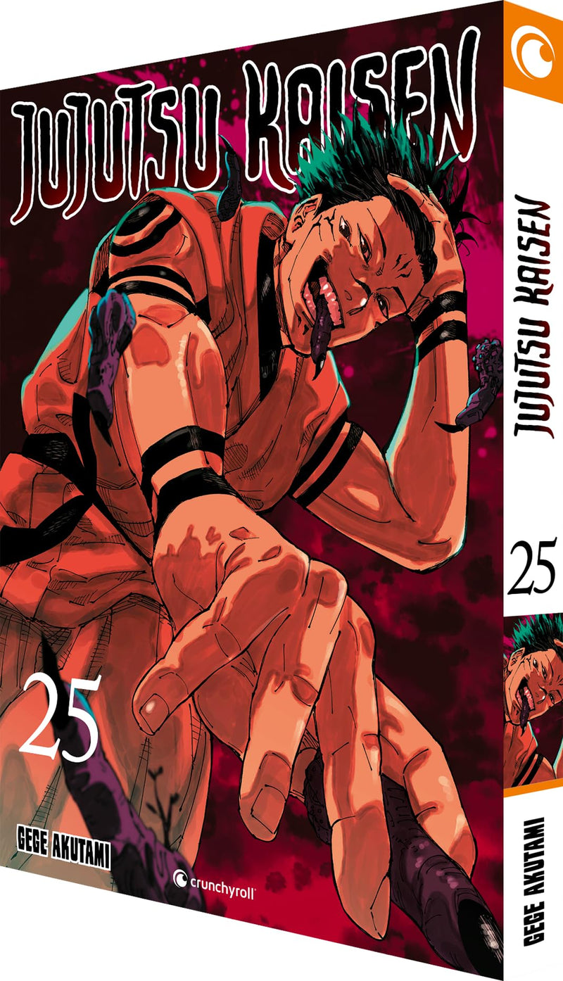 Jujutsu Kaisen - Band 25 - (German Import)