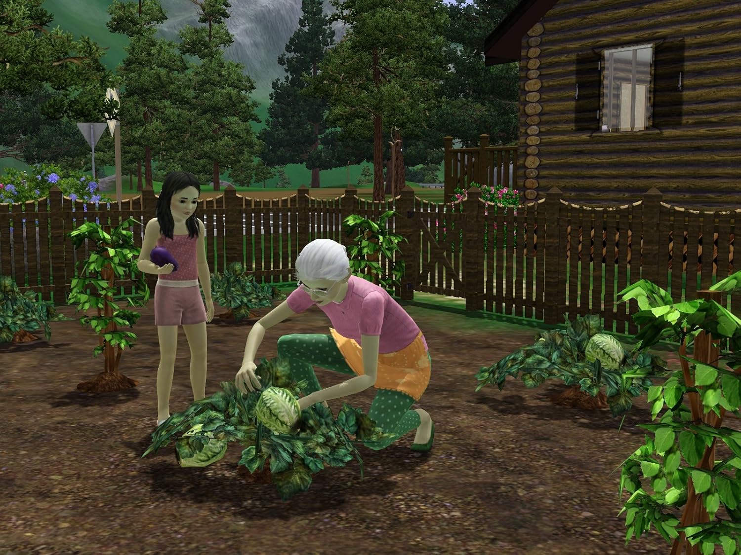 Sims 3 - Hidden Springs -Pc