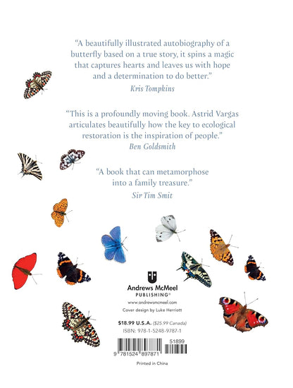 On a Butterfly's Wing