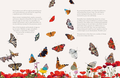 On a Butterfly's Wing