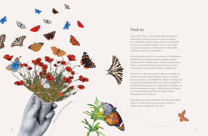 On a Butterfly's Wing