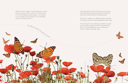 On a Butterfly's Wing