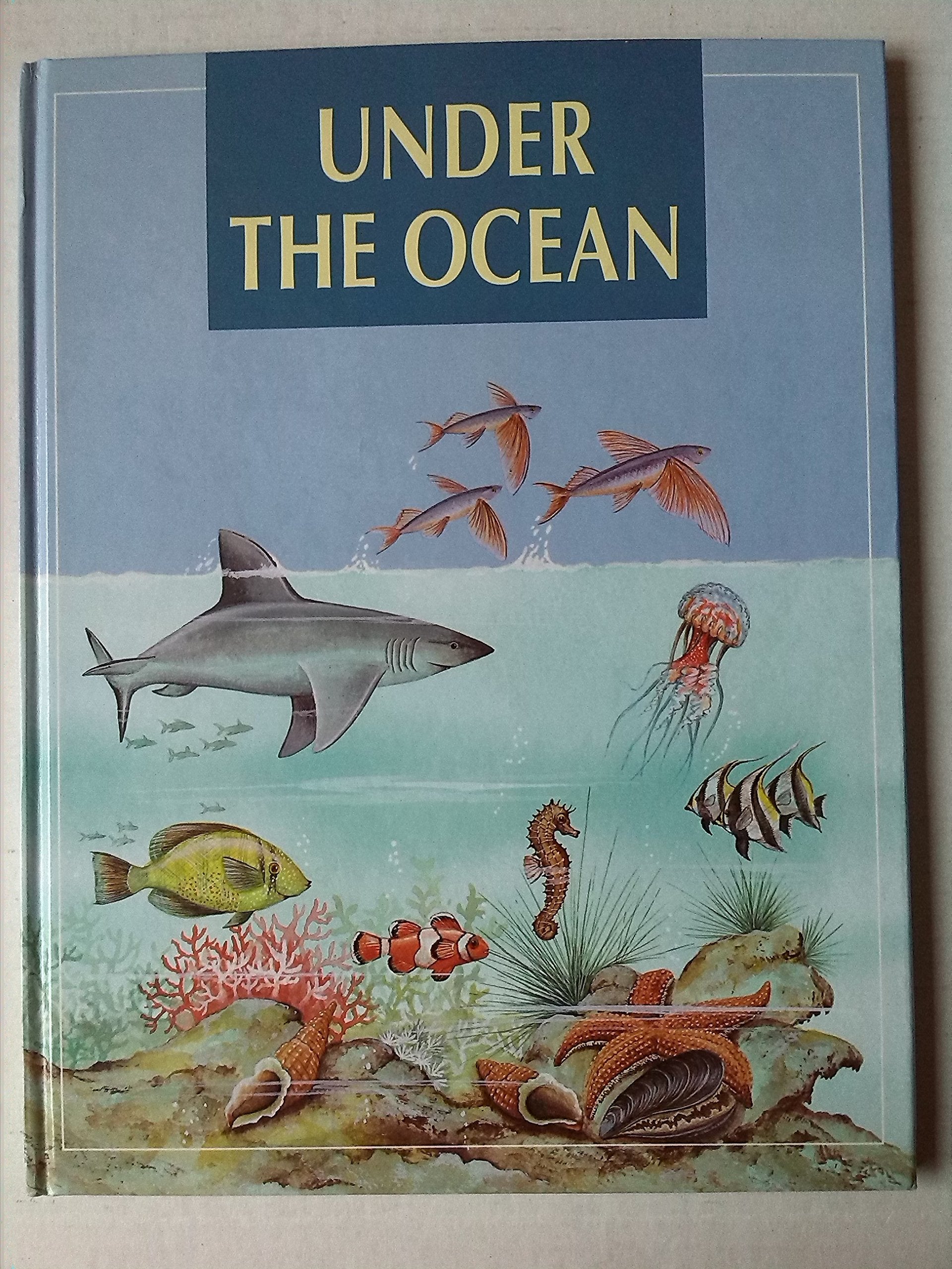 Under the Ocean