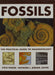 FOSSILS: The Practical Guide To Paleontology