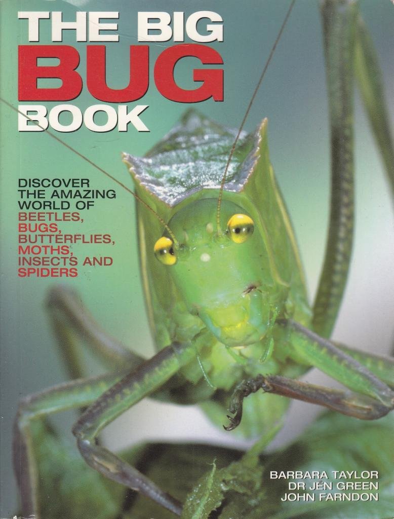 The Big Bug Book by Barbara Taylor (2010-05-04