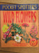 Wild Flowers