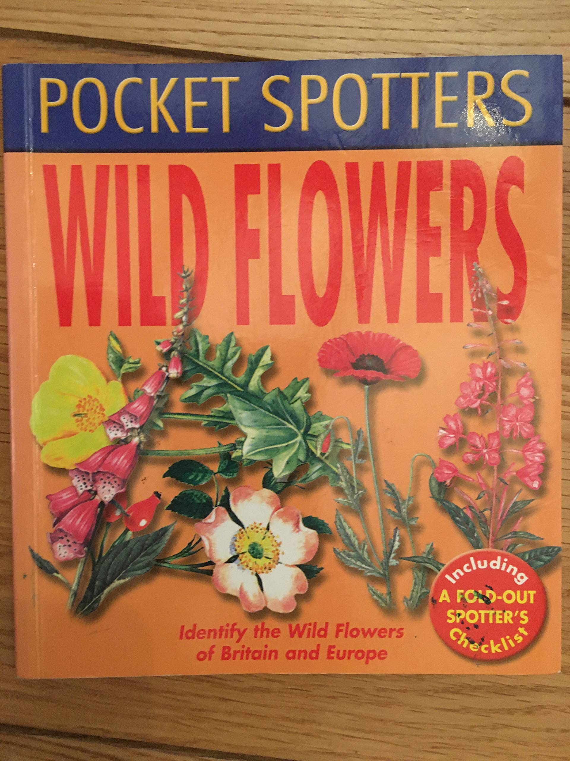 Wild Flowers