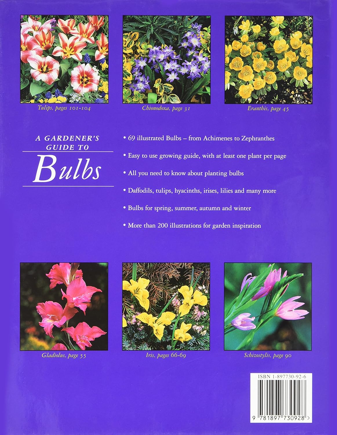 Gardener's Guide To Bulbs