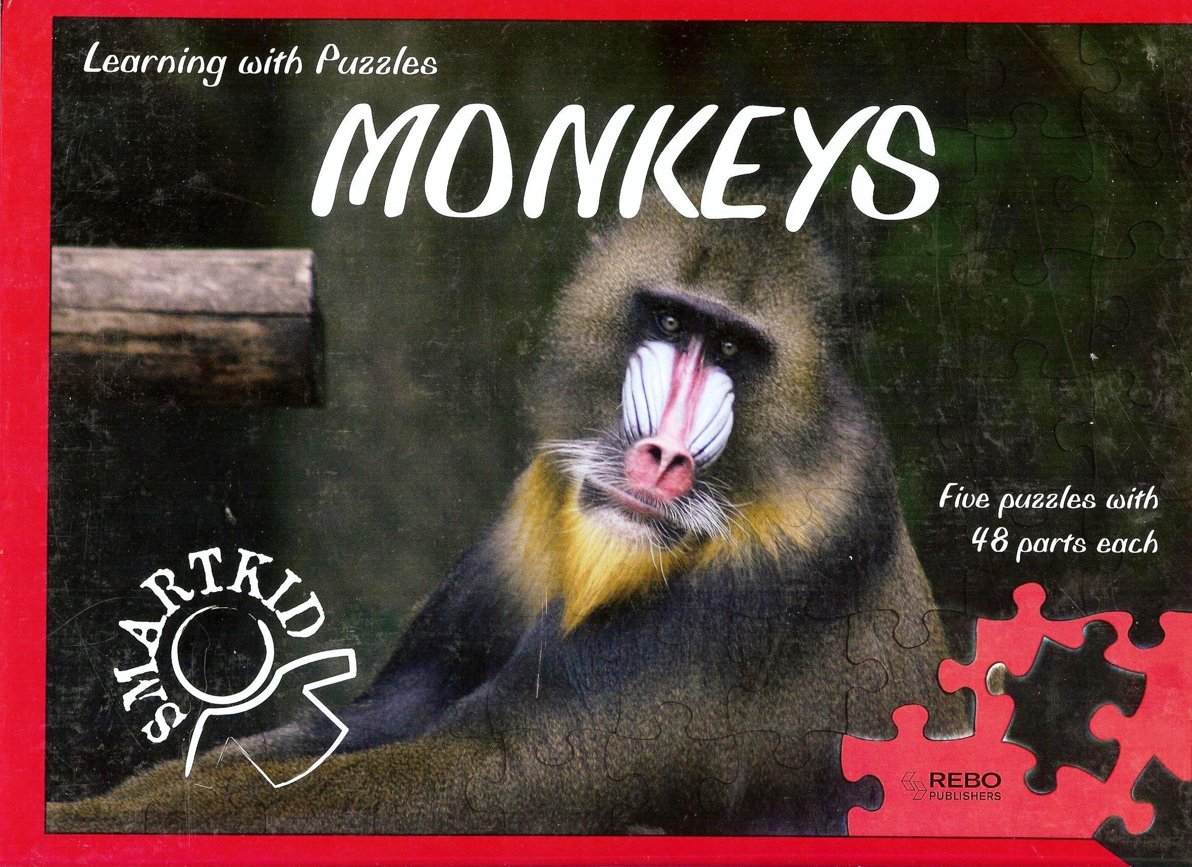 Monkies (Smart Kid