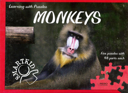 Monkies (Smart Kid