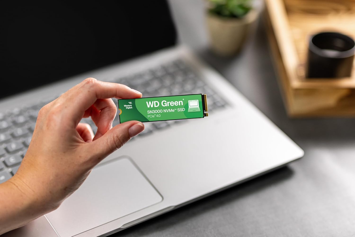Western Digital 1TB WD Green SN3000 NVMe Internal SSD - Solid State Drive - Gen4 PCIe, M.2 2280, Up to 5,000 MB/s - WDS100T4G0E