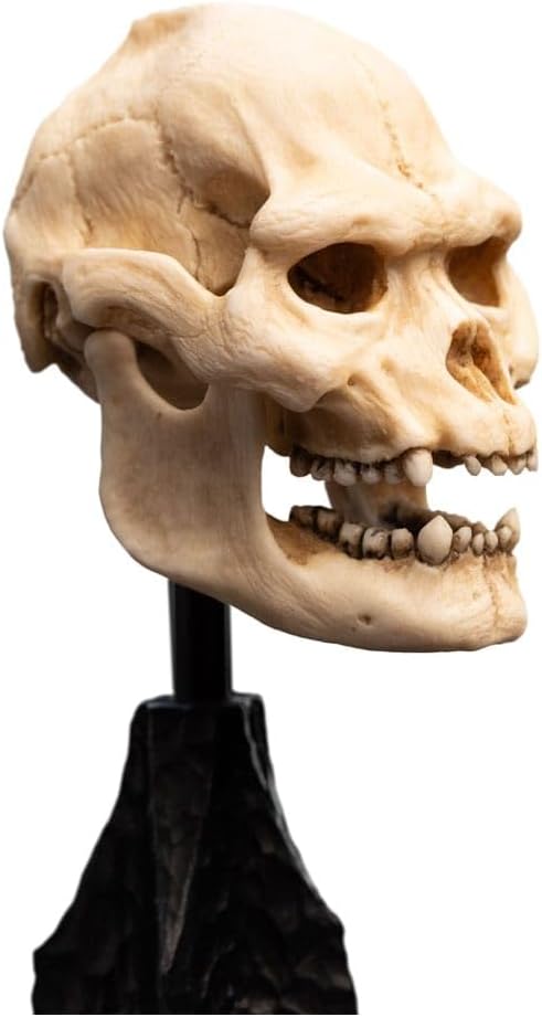 Lord Of The Rings Mini Statue Skull Of Lurtz 14 Cm