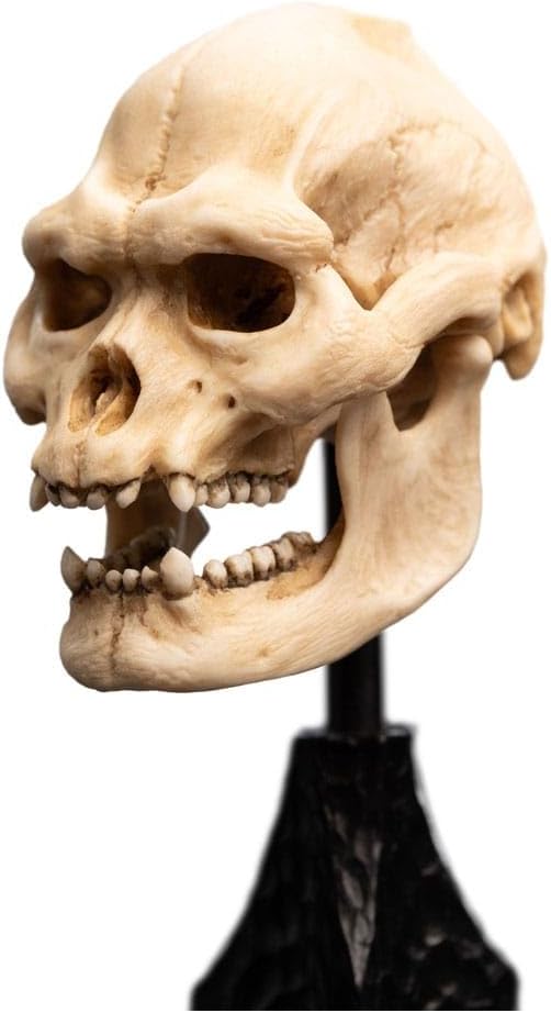 Lord Of The Rings Mini Statue Skull Of Lurtz 14 Cm