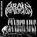 Liquidation Sandgrains (And Live)