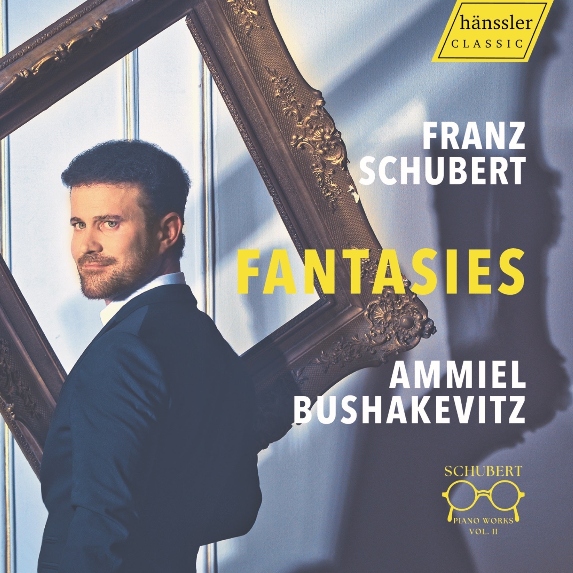 Franz Schubert: Fantasies