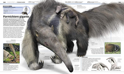 La grande enciclopedia degli animali