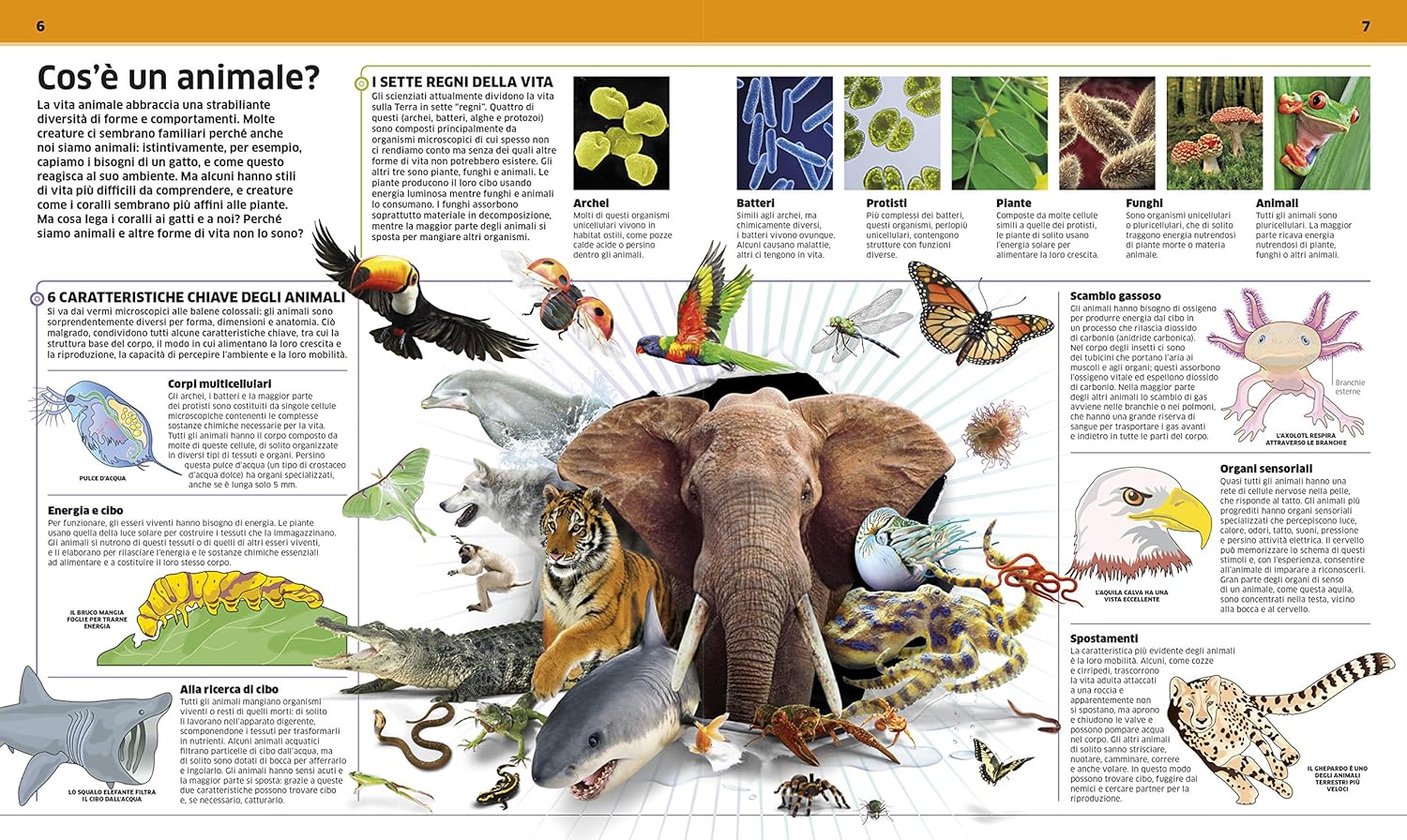 La grande enciclopedia degli animali