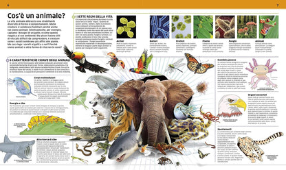 La grande enciclopedia degli animali
