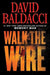 Walk The Wire International