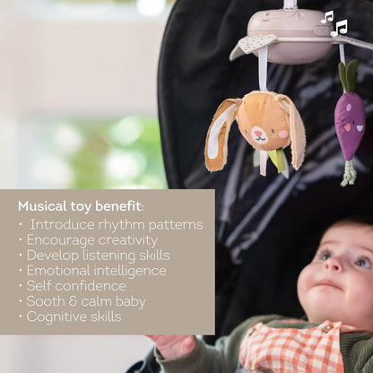 Taf Toys Móvil musical de jardín para cuna con melodías clásicas, juguetes colgantes suaves, promueve las habilidades motoras y el desarrollo emocional, clip grande para una fácil fijación, adecuado